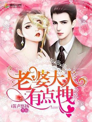 老婆大人有点拽封面
