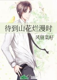 待到山花烂漫时封面