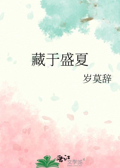 藏于盛夏封面