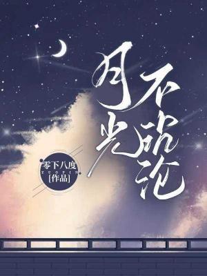 月光不沈沦封面