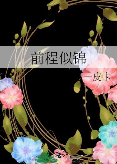 前程似锦封面