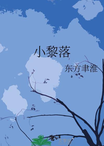 小黎落封面