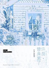 最佳替身封面