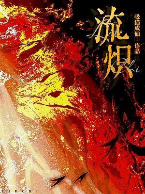 流炽封面