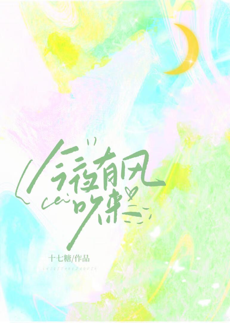 今夜有风吹来封面