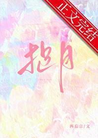 捉月[追妻]封面
