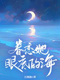 眷恋她眼底的海封面