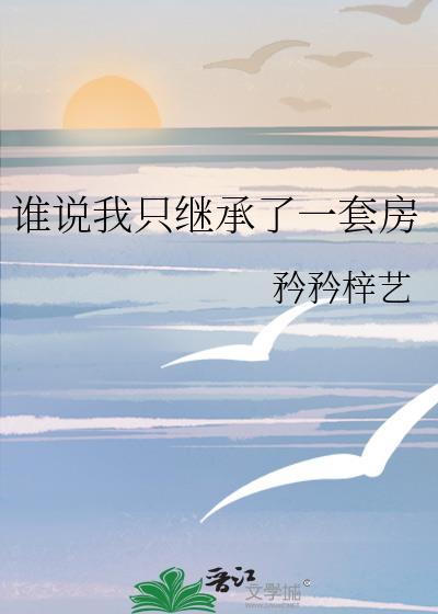 谁说我只继承了一套房封面