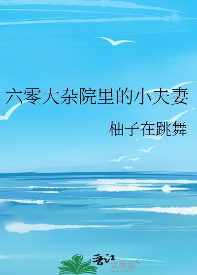 六零大杂院裏的小夫妻封面