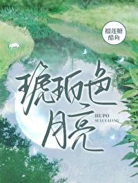 琥珀色月亮封面