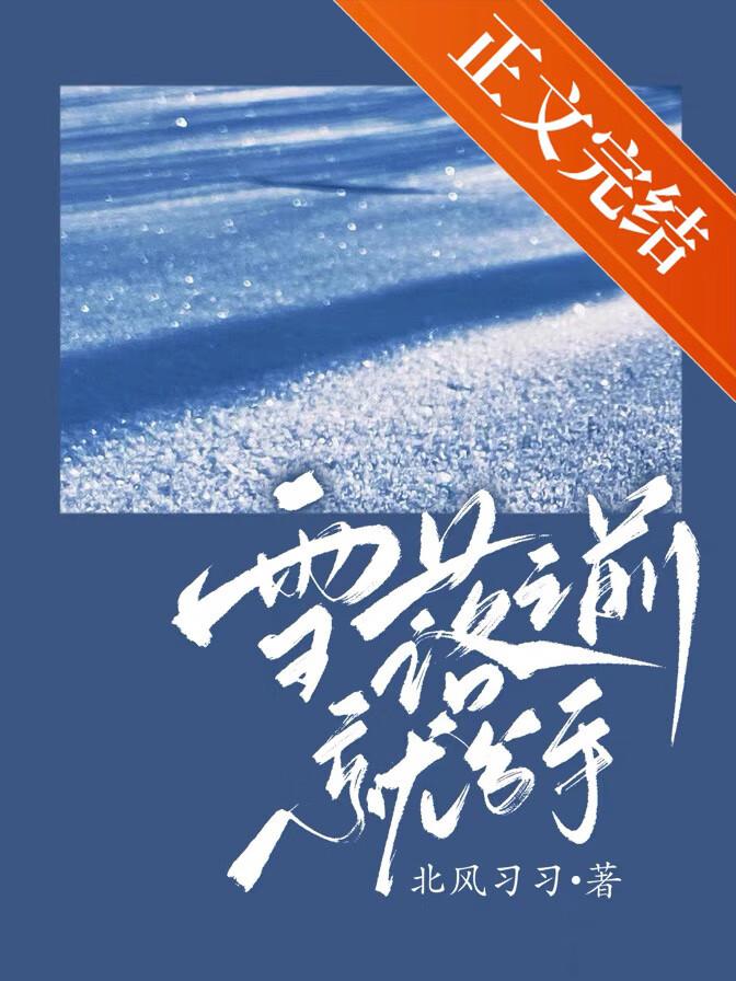 雪落之前就分手封面