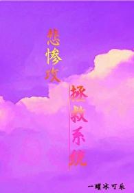 悲惨攻拯救系统封面