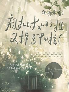 疯批大小姐被团宠后，又掉马甲啦封面