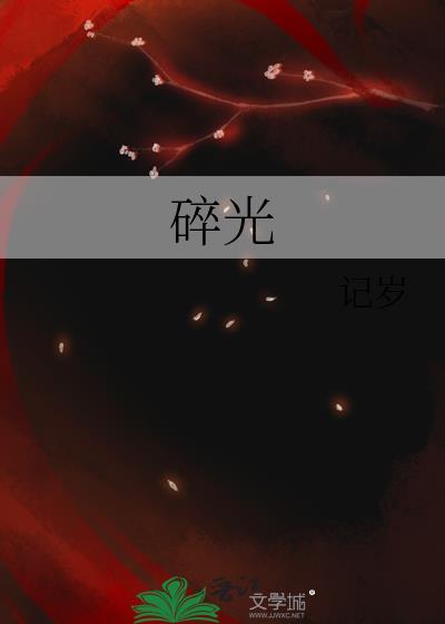 碎光封面