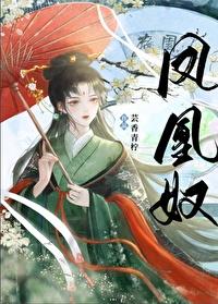 凤凰奴封面