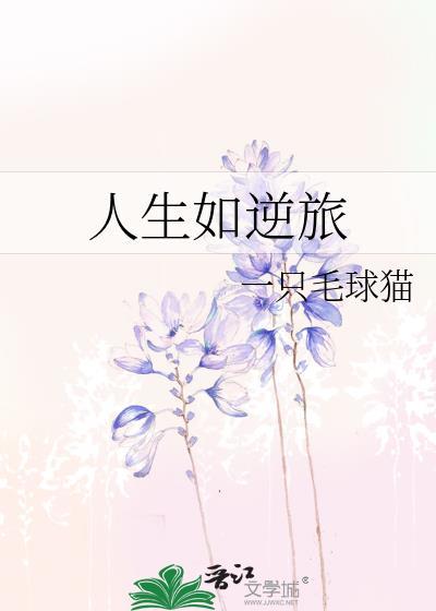 人生如逆旅封面