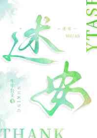 述安封面