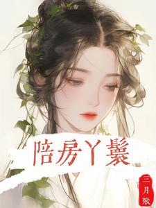 陪房丫鬟封面