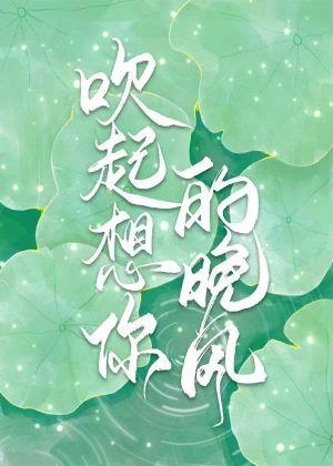 吹起想你的晚风封面