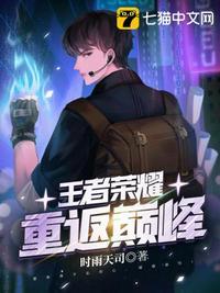 王者荣耀之重回荣耀封面