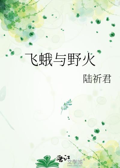 飞蛾与野火封面