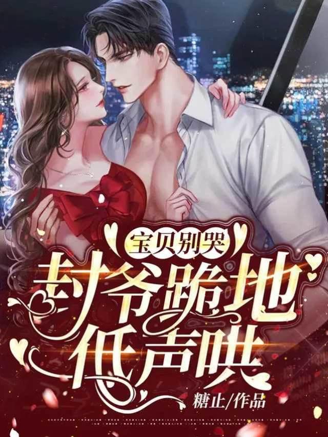封爷跪地低声哄:宝贝别哭封面