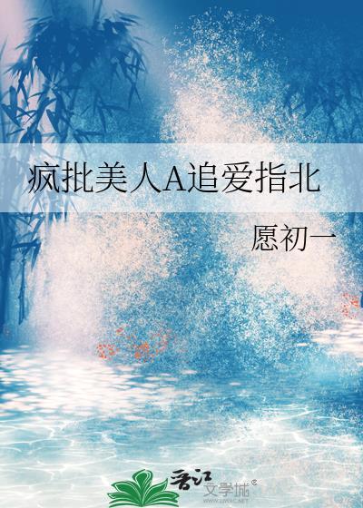 疯批美人A追爱指北封面