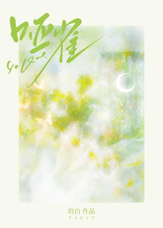 哑雀封面
