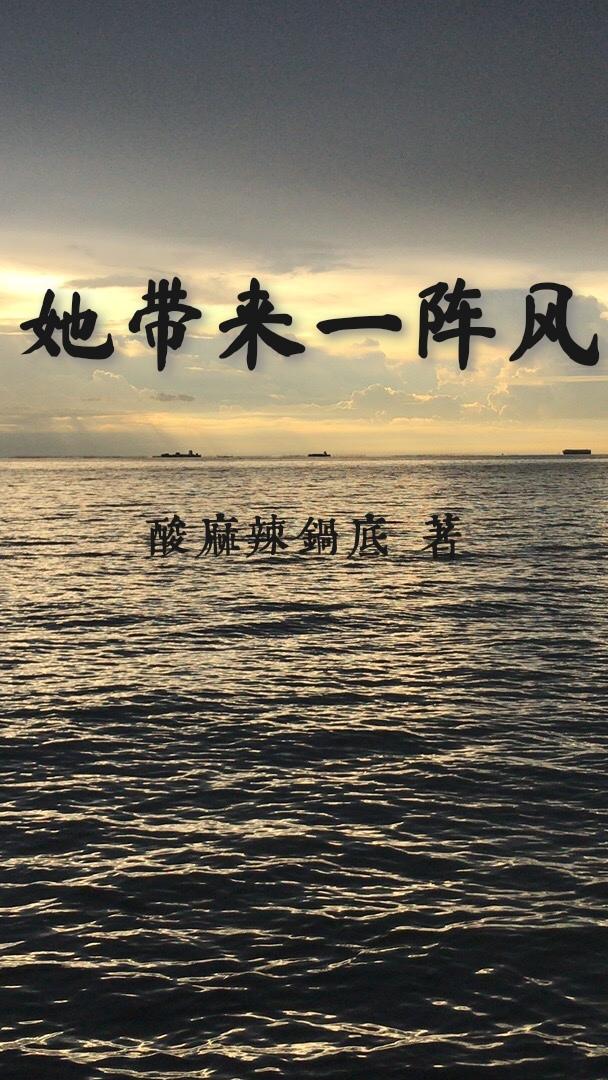 她带来一阵风封面