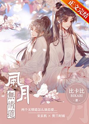 风月无情道封面