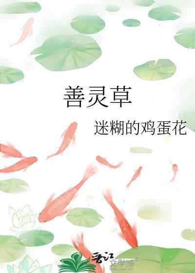 善灵草封面