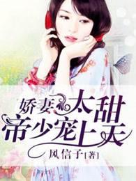 娇妻太甜，帝少宠上天封面