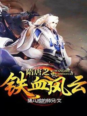 隋唐之铁血风云封面