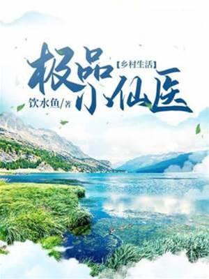极品小仙医封面
