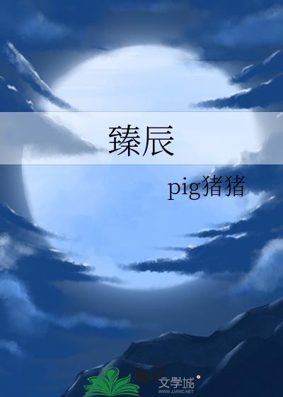 臻辰封面