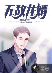 无敌龙婿封面