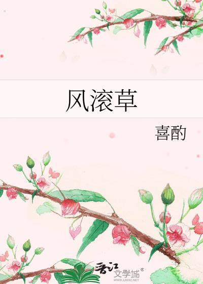 风滚草封面