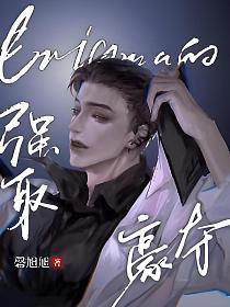 Enigma的强取豪夺封面