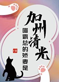 喵霸总的娇妻是加州清光封面