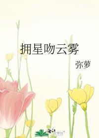 拥星吻云雾封面