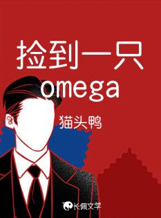 捡到一只omega封面