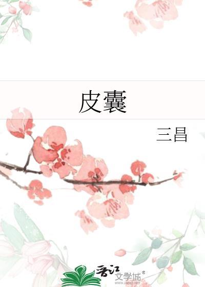 皮囊封面