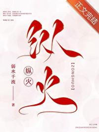 纵火封面