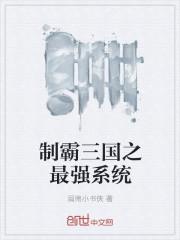 制霸三国之最强系统封面
