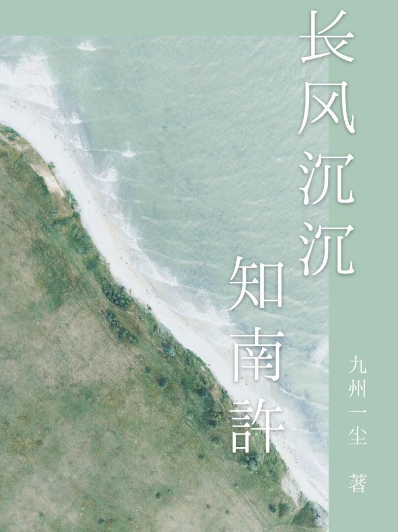 长风沈沈知南许封面