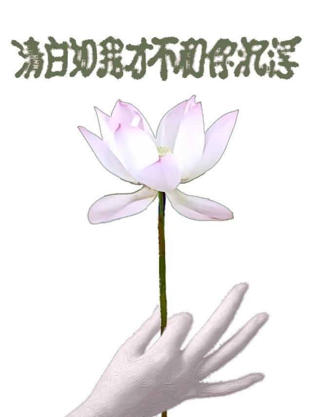 清白如我才不和你沈浮封面