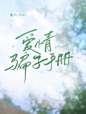 爱情骗子手册封面