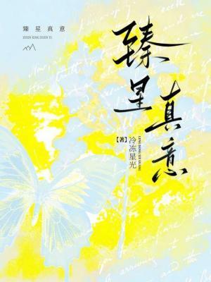 臻星真意封面