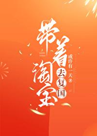 带着淘宝去覆国封面