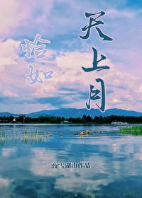 恰如天上月封面